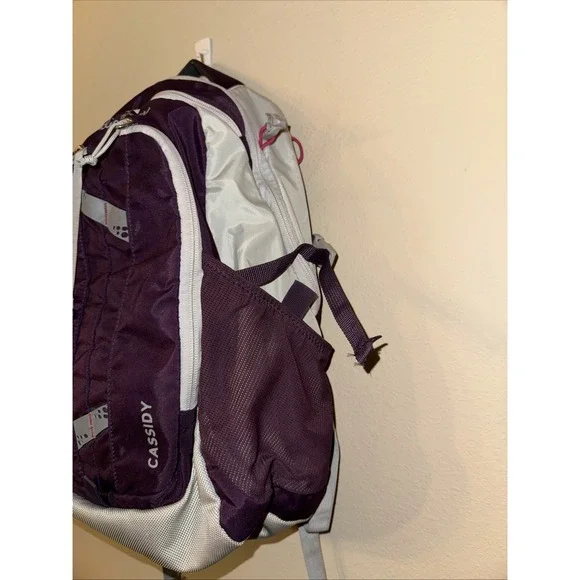 EDDIE BAUER Cassidy Day Pack Hiking Camping College BACKPACK 20L Purple And Gray - Picture 3 of 6